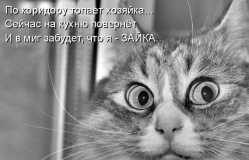 qRKpCFw0pA8[1].jpg