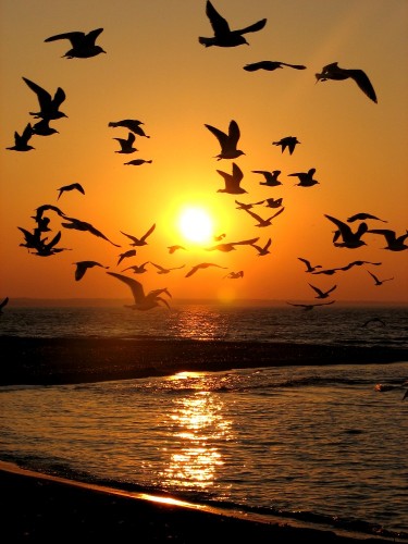 tumblr_m75xcnJcJV1qefrmxo1_1280.jpg