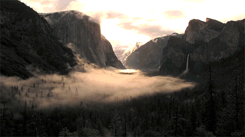 tumblr_m81aisKauk1qck6qdo1_500.gif