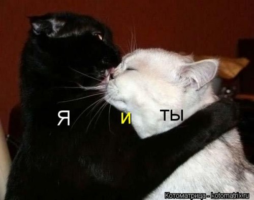 Вылитые мои