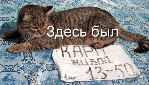 5Oeoqn1R_N4[1].jpg