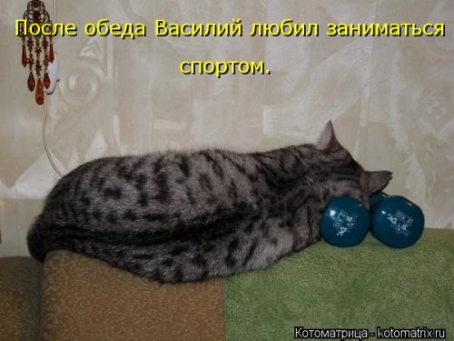 kotomatritsa_Cu[1].jpg