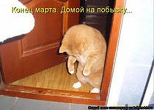 i как смарт-объект-1.jpg