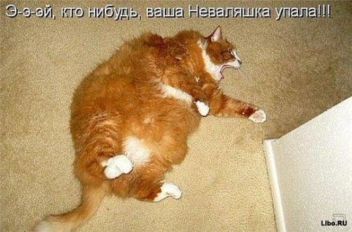 x_c9a9ccd2.jpg