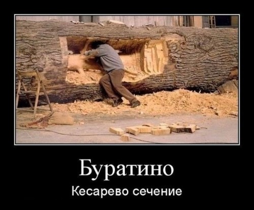 F6-gDGmlJGI - копия.jpg