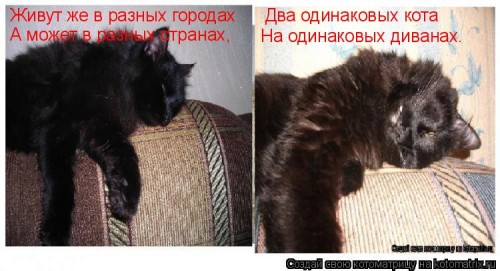 791084.jpg