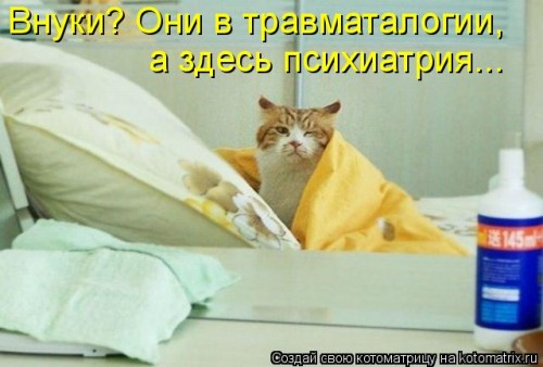 835476.jpg