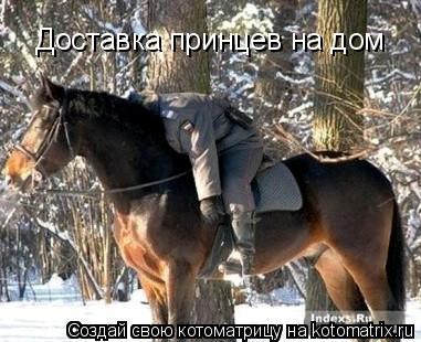 905108.jpg