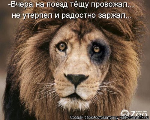 916389.jpg