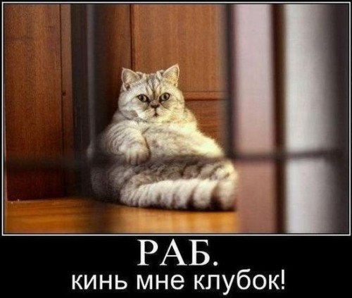 x_6c7940be.jpg