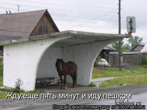 1012489.jpg