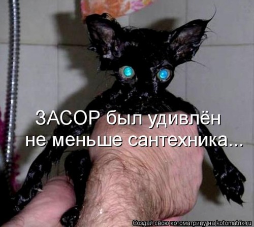 1137085.jpg