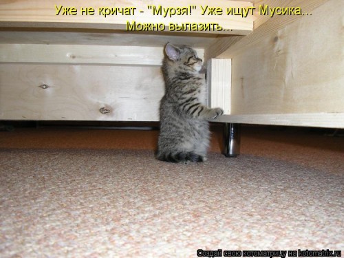 kotomatritsa_Bm.jpg