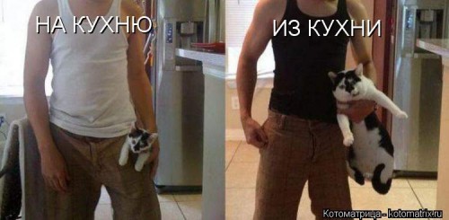 Y.jpg