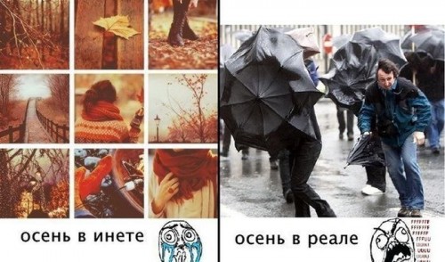 осень.jpg