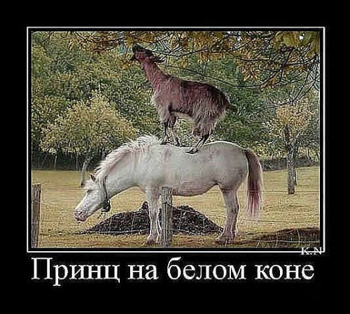 принц на коне.jpg