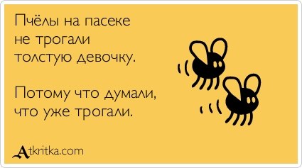 пчелы не трогали толстую девочку.jpg