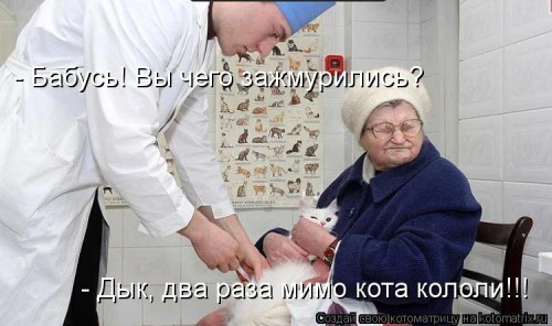 kotomatritsa_ZX.jpg