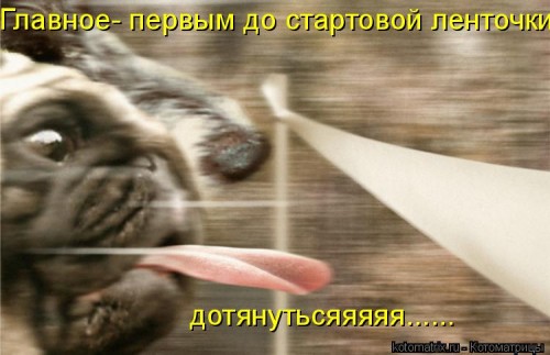 N9.jpg