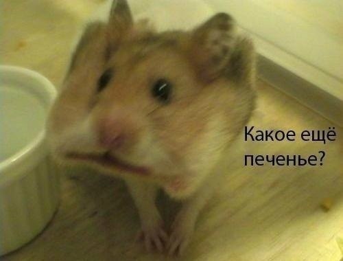 OpzDOp9mLsk.jpg