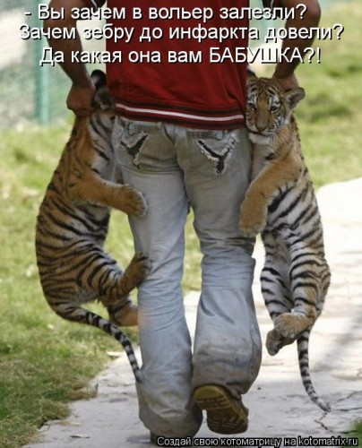 kotomatritsa_mlI.jpg