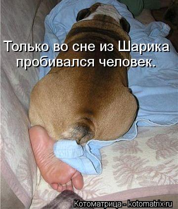 kotomatritsa_Xe.jpg
