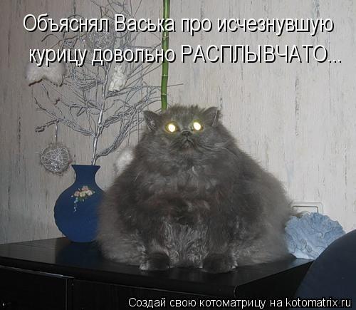 kotomatritsa_z.jpg