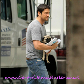 gerard_butler_dog_pug.jpg