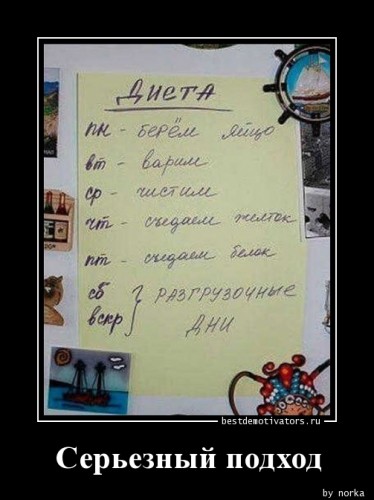 1375943463_Sereznyy-podhod_bestdemotivators.ru.jpg