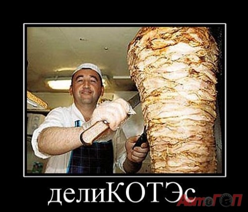 delikotes-tyrkish-jpg_IMGn9sswl_image.jpg
