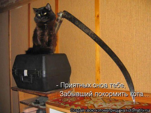 kotomatritsa_zE.jpg
