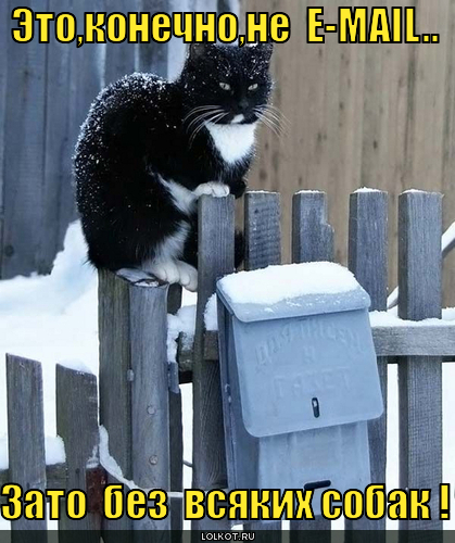 ne-e-mail_1301942808.jpg