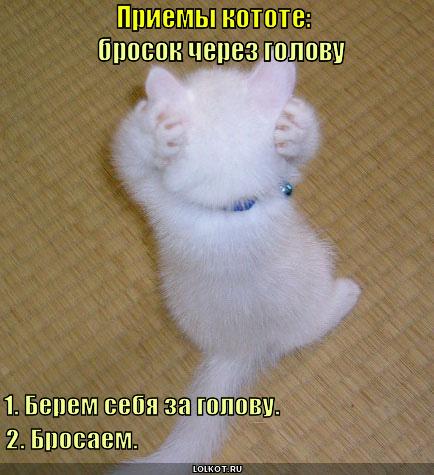 priyemy-kotote_1301074379.jpg