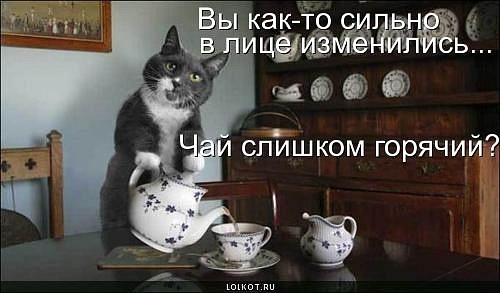 x_ed895732.jpg