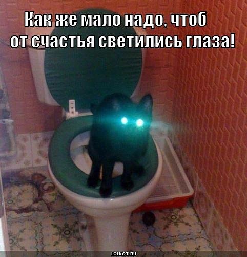 x_232a45aa.jpg