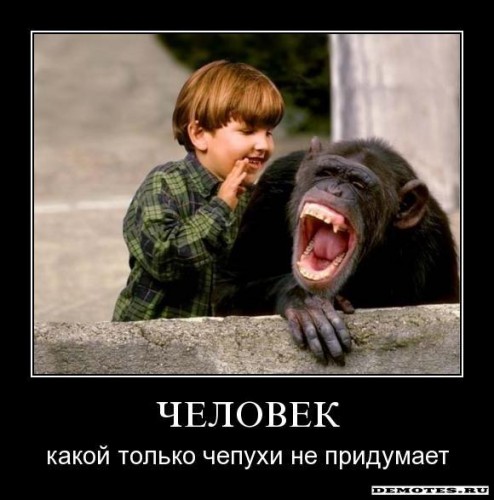 1276114751_fb280p52xvld.jpg