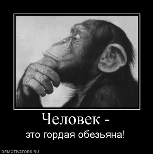 615383_chelovek-.jpg