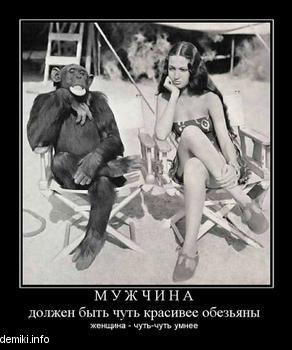 www.demiki.info423456_m-u-zh-ch-i-n-a-dolzhen-byit-chut-krasivee-obezyanyi.thumbnail.jpg