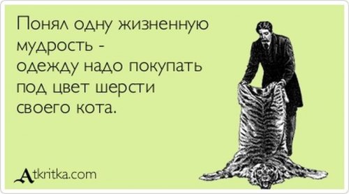 Пипец 8.jpg