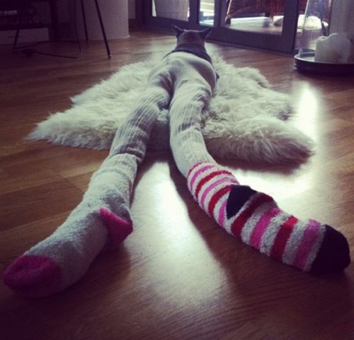 tights-wearing-05.jpg
