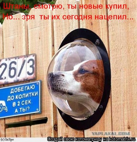 515896.jpg