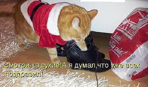 getImage.jpg