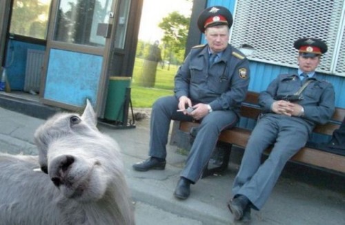 fotobomba-029.jpg
