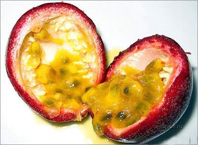03_1107_passion_fruit.jpg