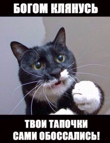 ttCUlRkkeKE.jpg