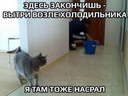 098e1f.jpg