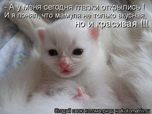 41107f.jpg