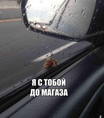 713334.jpg
