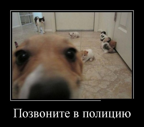 ad60df.jpg