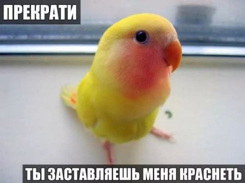 c38e3f.jpg